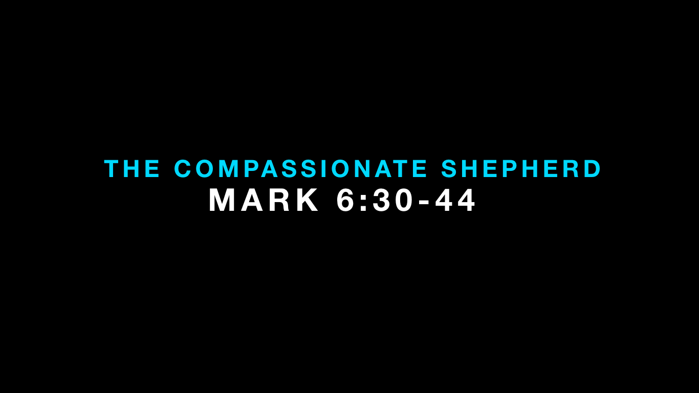 A Compassionate Shepherd: Pope Francis's Life And Legacy A Compassionate Shepherd: Pope Francis's Life And Legacy