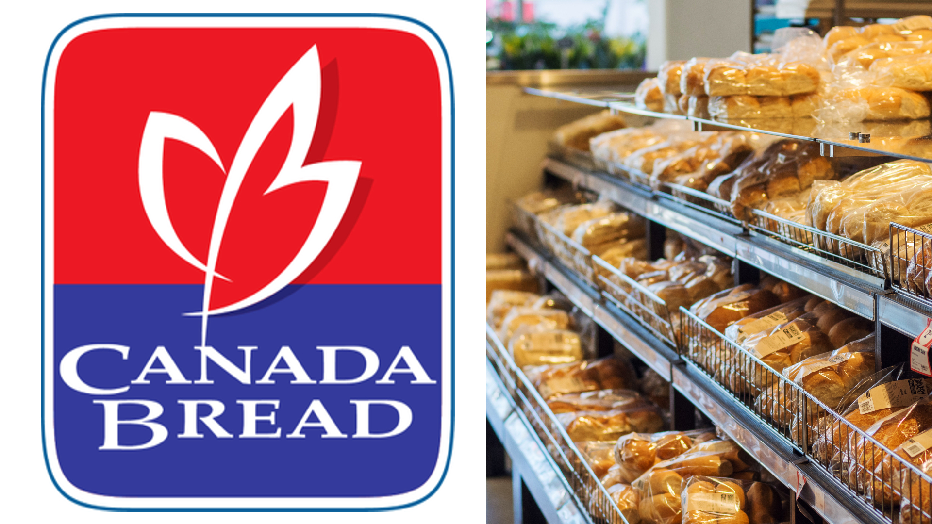 Canadian Bread Price-Fixing Lawsuit: $500 Million Settlement Hearing In May Canadian Bread Price-Fixing Lawsuit: $500 Million Settlement Hearing In May