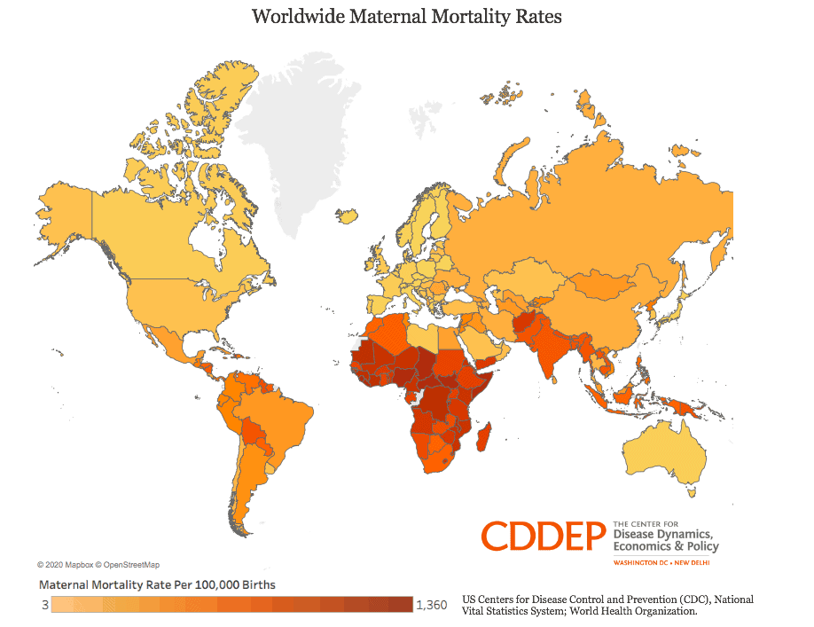 Grand National Mortality Rate: Horse Deaths Before The 2025 Race Grand National Mortality Rate: Horse Deaths Before The 2025 Race