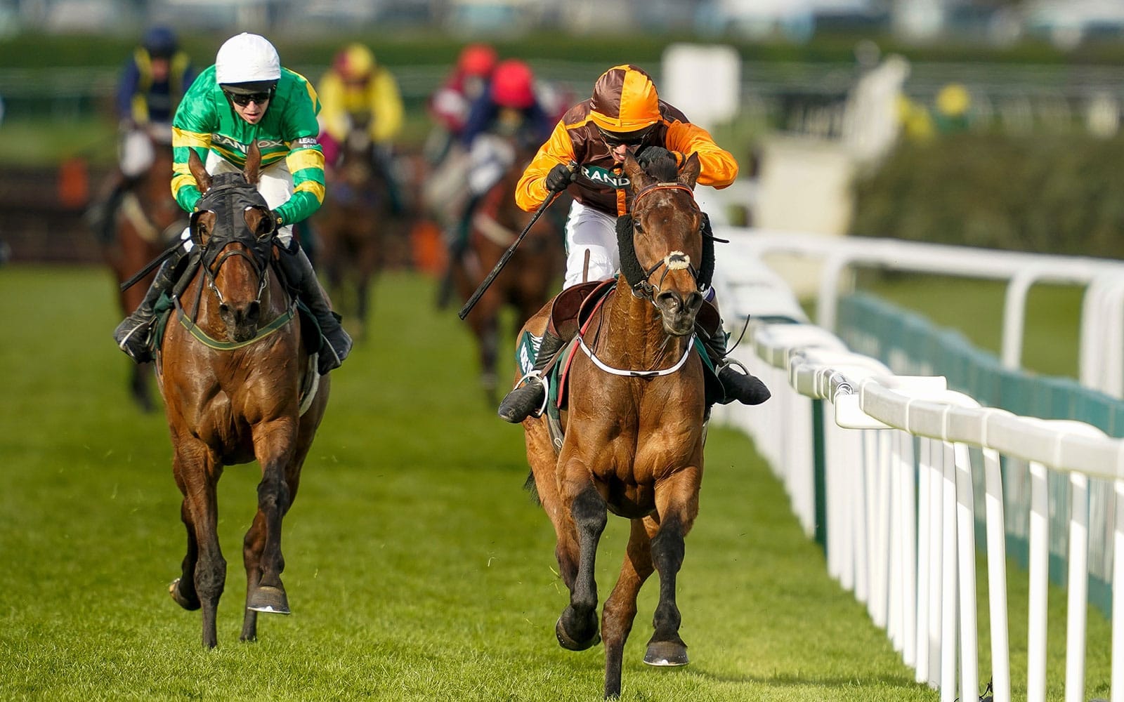 How Many Horses Have Died At The Grand National? Pre-2025 Data How Many Horses Have Died At The Grand National? Pre-2025 Data
