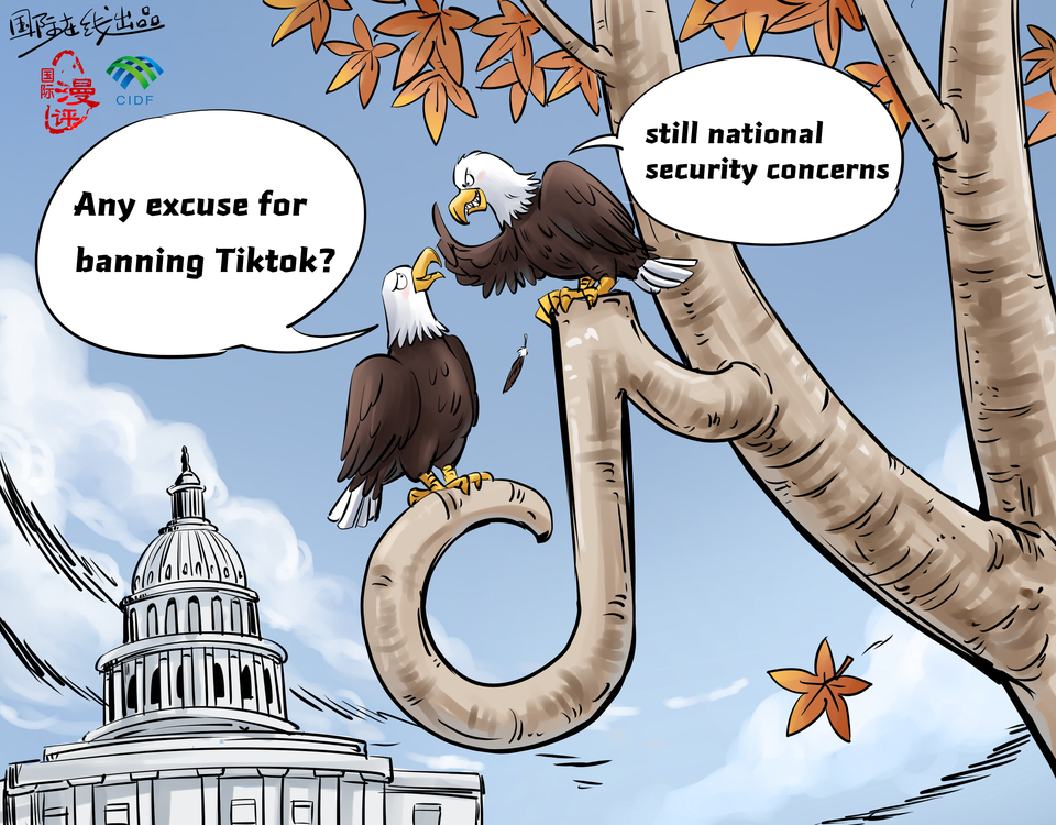 Instagram's New Video Editing App: A Threat To TikTok? Instagram's New Video Editing App: A Threat To TikTok?