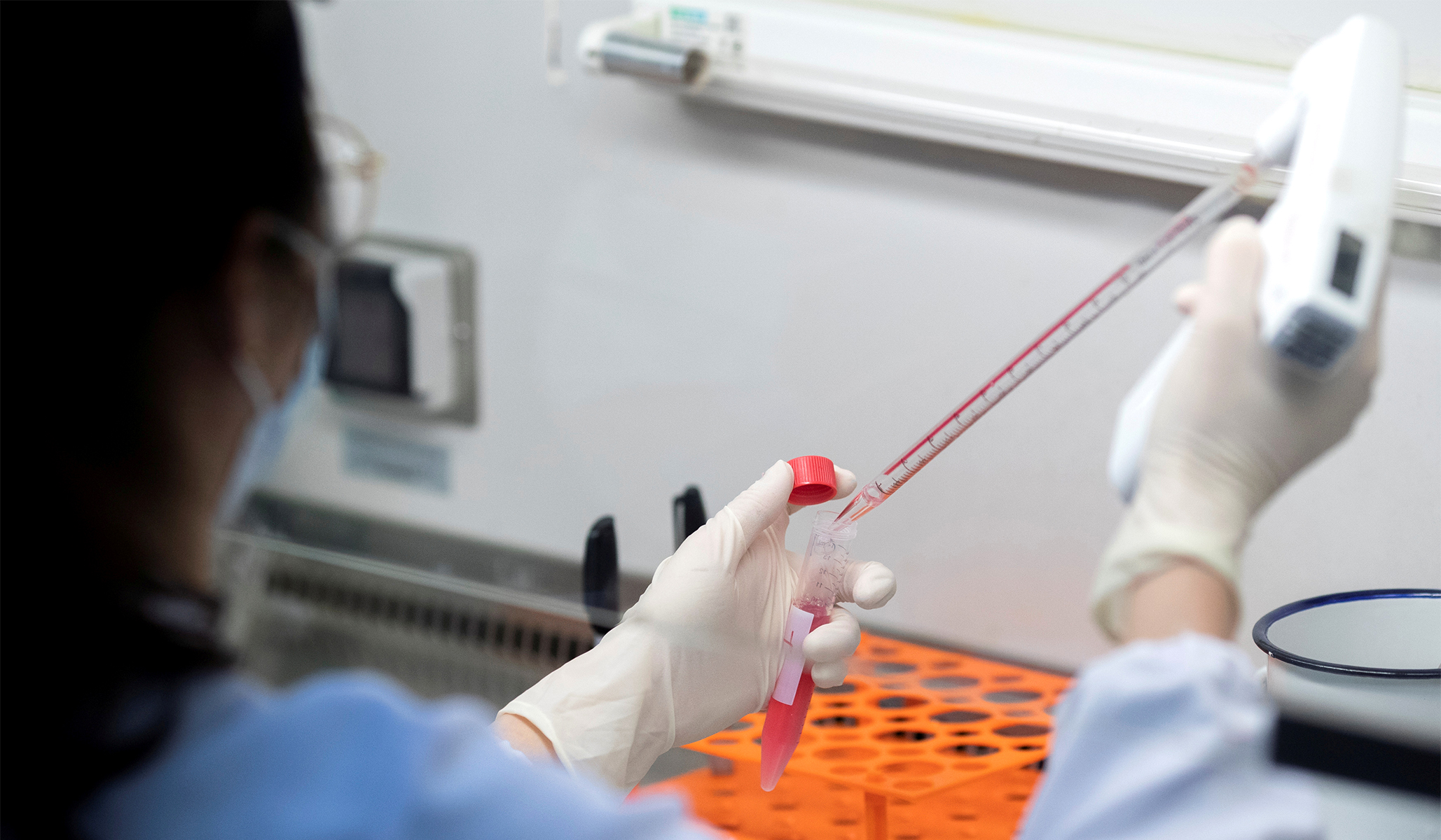 Lab Owner Pleads Guilty To Falsifying COVID-19 Test Results Lab Owner Pleads Guilty To Falsifying COVID-19 Test Results