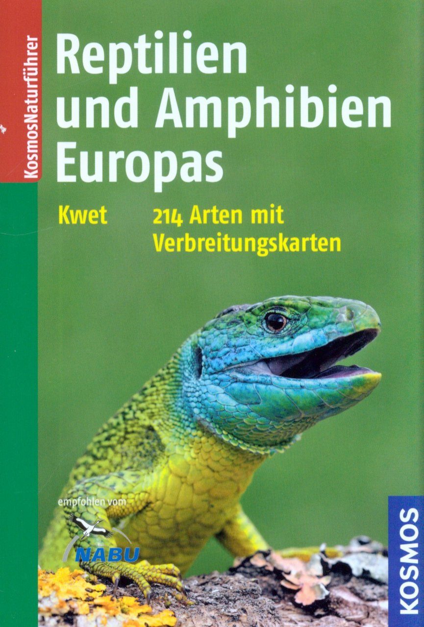 Neuer Atlas Zu Amphibien Und Reptilien In Thüringen Erschienen Neuer Atlas Zu Amphibien Und Reptilien In Thüringen Erschienen