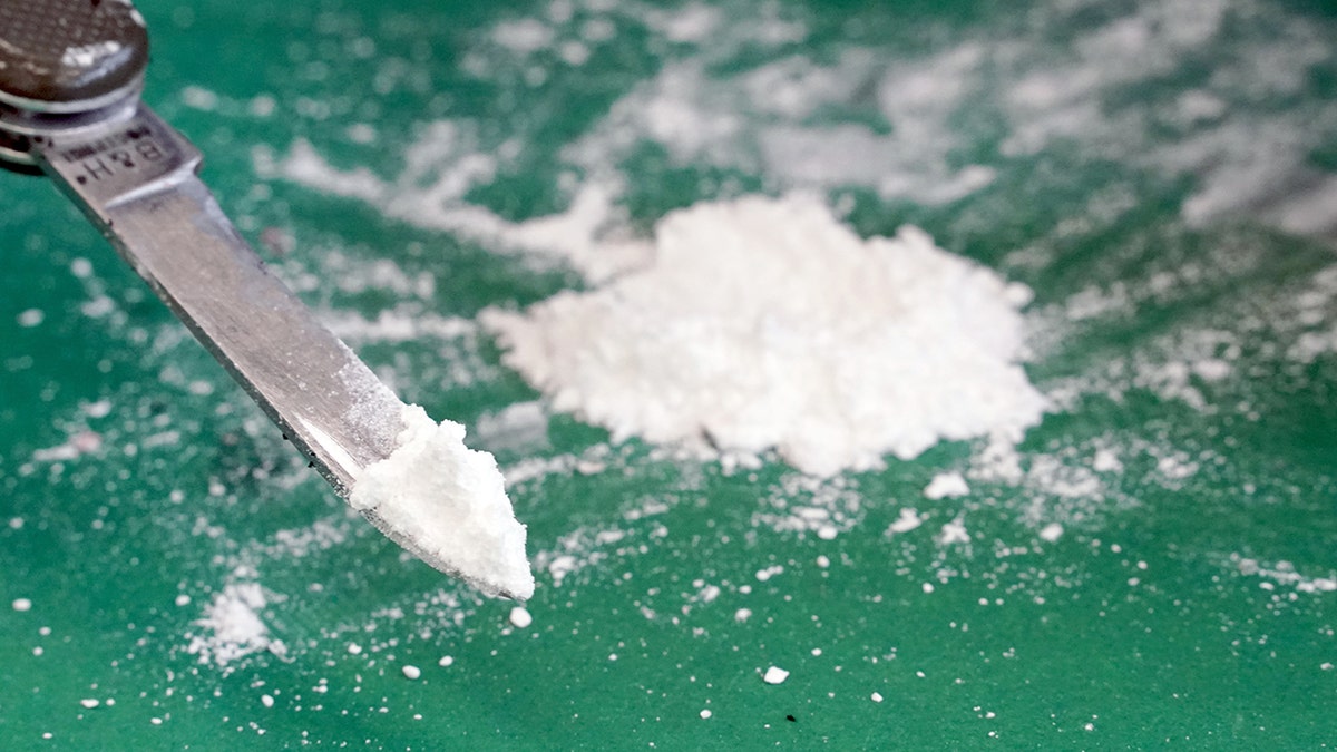 Secret Service Investigation: Findings On Cocaine Found At White House