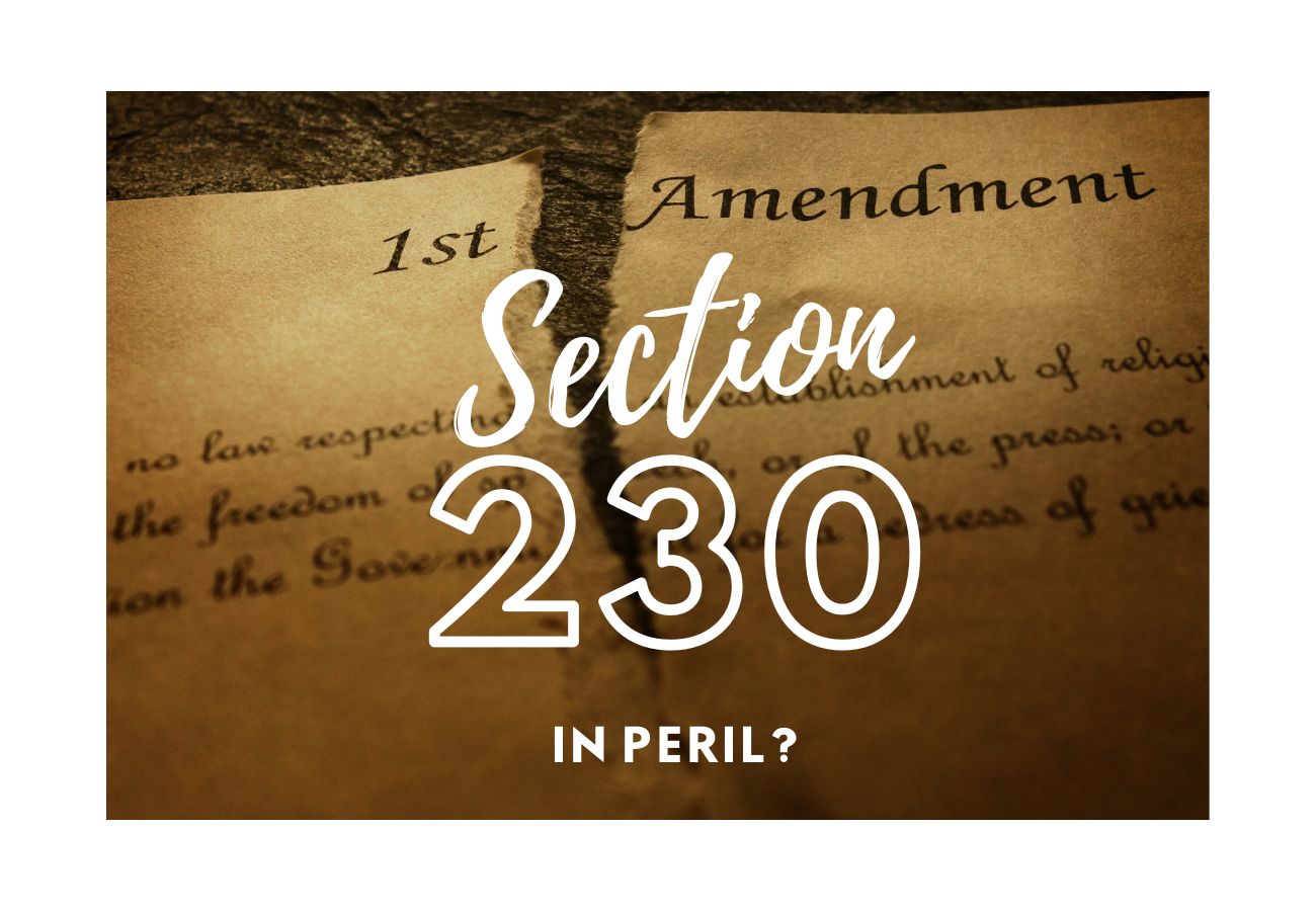 Section 230 And The Sale Of Banned Chemicals On EBay: A Legal Ruling Section 230 And The Sale Of Banned Chemicals On EBay: A Legal Ruling