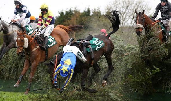 The Number Of Horse Deaths At The Grand National: 2025 Perspective The Number Of Horse Deaths At The Grand National: 2025 Perspective
