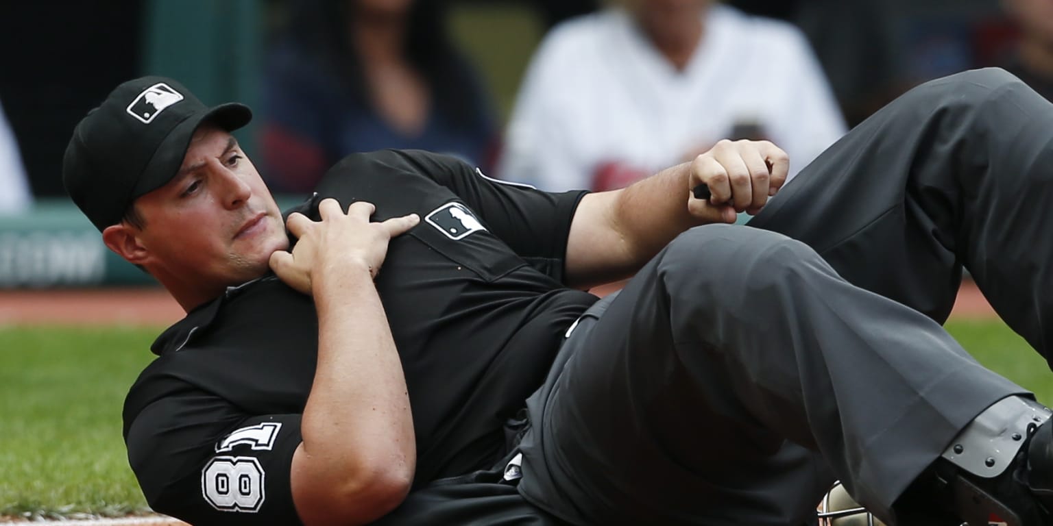 Tigers' Manager Demands Evidence After Disputed Plate Umpire Call Overturned