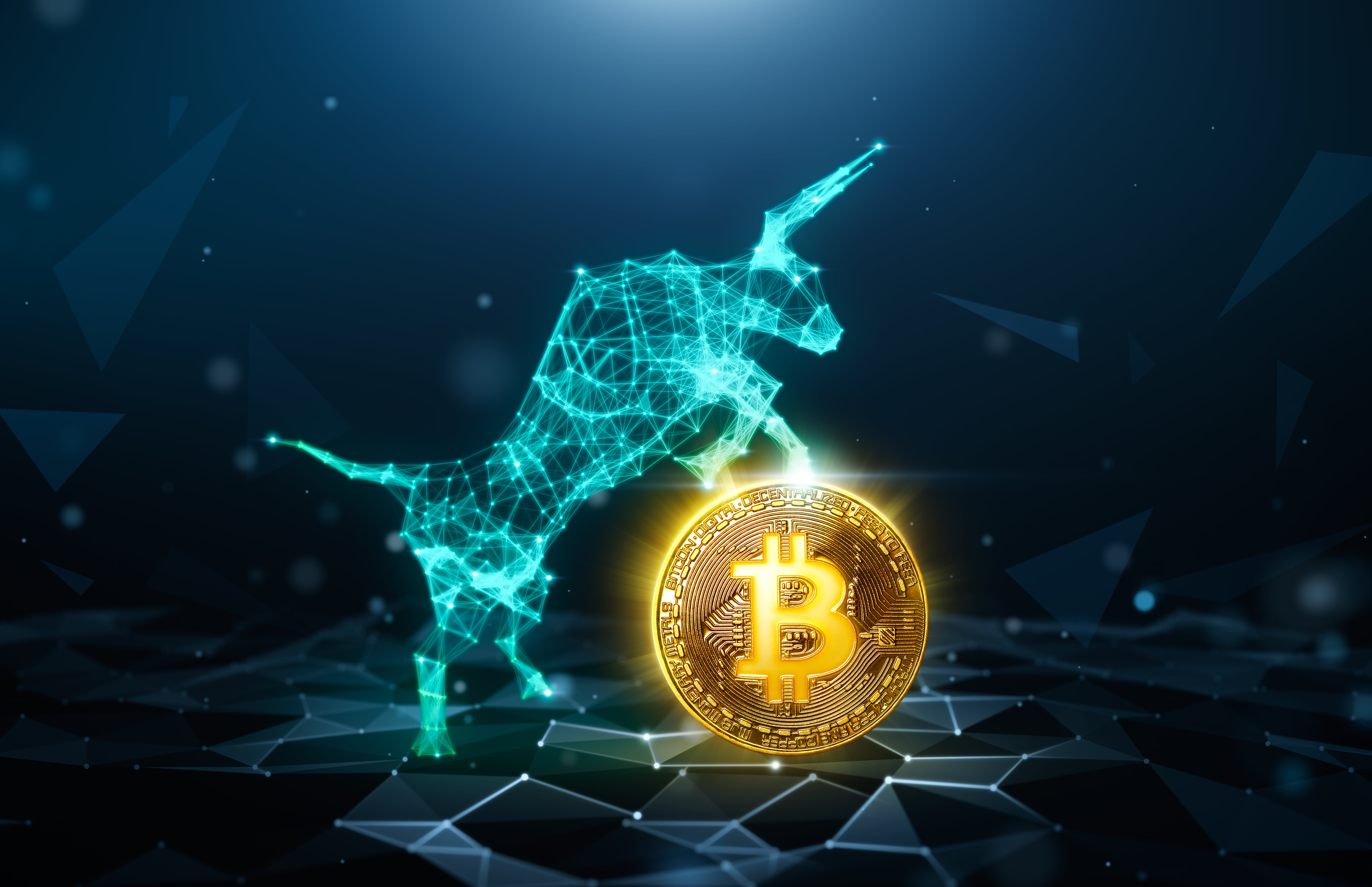 Understanding India's Bull Market: A Deep Dive Into The Nifty's Performance Understanding India's Bull Market: A Deep Dive Into The Nifty's Performance